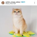 작고 소중해 이미지