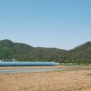 무릉도원면사무소 이미지