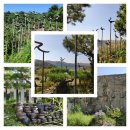 능강민박 이미지