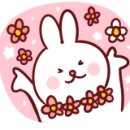 순이살롱 이미지