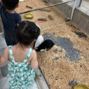 양주곤충박물관 | 양주 아이랑 실외 갈만한 곳 양주곤충박물관 후기