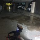 두정비바빌 이미지