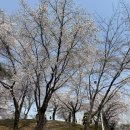 도연한의원 | [억각의 본1 정병] 봄, 그것은 중간고사와 알러지와의 싸움