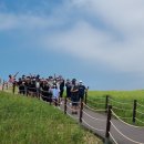 희망의 나래 이미지