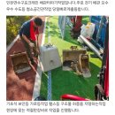 정안레미콘아스콘(주) | 인천 송도미니포크레인 전기기초석 묻고 도로횡단 뿌레카 배관터파기한 실제작업후기(허니미니중기)