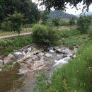 위크팜글램핑 이미지