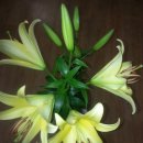 GS부동산공인중개사사무소 이미지