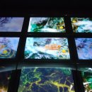 전통문화콘텐츠박물관 이미지