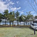 구조라항캠핑장 이미지