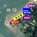 서해농장 네이버블로그