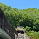 [단양] 고수동굴 _ 내돈내산 방문후기