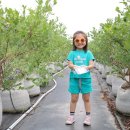 직산농장 이미지