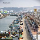 장림포구 이미지