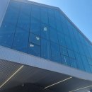 식물 인테리어 | 김포 감성카페 대피 대형 선인장·다육 배달 후기｜식물 인테리어로 분위기 완전 달라졌어요