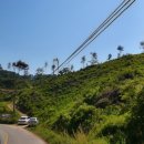 윤택 태양광발전소 이미지