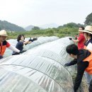 진흥다방 - 영천시 완산중앙2길 21 | 진흥다방