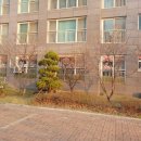 STX칸(아) 이미지