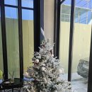 서초대로58길 13 (1) | 교대역 미용실 추천, 오즈 서초교대점 중단발 레이어드컷 후기 (선욱 디자이너)