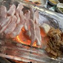 뚜껑열린돼지 이미지