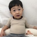깐돌이 Daum카페