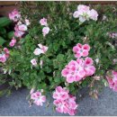 요한성당 앞 이미지