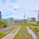 마포새빛문화숲 이미지