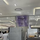케이디저트(K dessert) | 서면 롯백 본점 K-Dessert fair : 쫀득빵 맘모스빵 밀빛