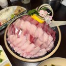 (주)석화 | 맛있는 거 가득했던 이번주..💛 | 용산 울릉집 웨이팅 후기 가성비 미친 방어&석화 | 안양 이자카야 호야...