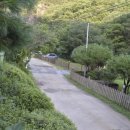 8코기네 애견펜션 이미지