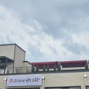 지평선연미향