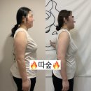 더 따숲 이미지