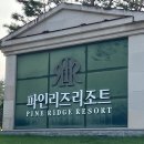 (주)에이치제이매그놀리아용평파인리즈골프앤리조트 이미지