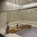 스테이 더담 이서점 이미지