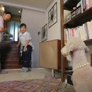 내가 품은 Dog 이미지