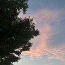 꼬지와친구들 이미지