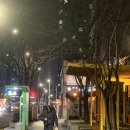 땡초우동 | 이수역 땡초우동 포차 후기｜소주 부르는 노포 감성