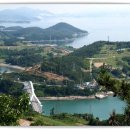 중앙선어시장 이미지