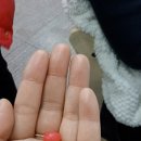 한알학원 이미지