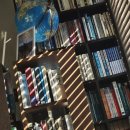 팔경하우스 | [24년 08월] 충북 단양 | 1박 2일 | 카페 산, 팔경가든, 갤러리하우스펜션