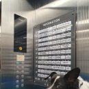 크린에이드 옥길제이드점 | 부천 애견 카페 [우다다멍] 중형견 반려견 놀이터 붕어빵 자몽에이드 맛집