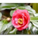 서동모텔 이미지