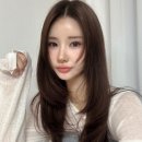 비비안웨스트우드 메이페어 바스 릴리프 목걸이 최저가 구매 후기