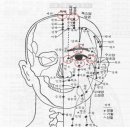 수지침 처방 - 안구하수증의 혈자리 이미지