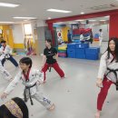 경희대석사왕호태권도장 이미지