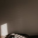 역동성-공간확산 이미지