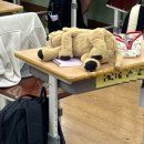 하나피알씨 이미지