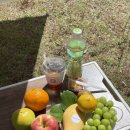 다담과일 이미지