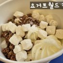 [장안동카페] 요거트월드 장안점 내돈내산 후기