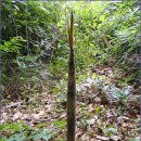 길사이언스 이미지