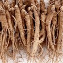 금산인삼 이미지